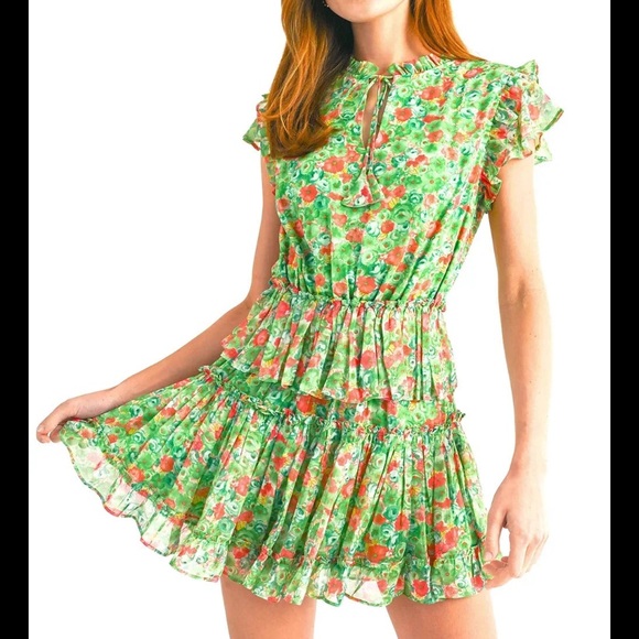 NEW Reset by Jane Joelle Ruffle Green Floral Mini Dress Size Small NWT - Picture 1 of 9